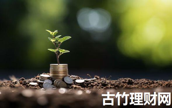急需1000元？2026私人小额借款专业渠道力荐，速看！